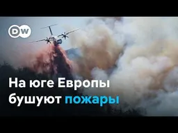 После аномальной жары юг Европы охватили лесные пожары
