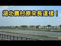 《做高鐵從武漢到宜昌，一路看江漢平原：連片稻田、整齊農房，真實的湖北農村原來長這樣！》