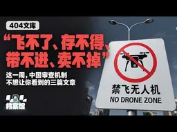 【404文库】“飞不了、存不得、带不进、卖不掉”：这一周，中国审查机制不想让你看到的三篇文章