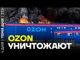 WB и OZON потеряют всё. Экономист объяснил будущее маркетплейсов