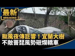 颱風夜傳巨響！　宜蘭大樹不敵薔琵風勢砸爛轎車｜#鏡新聞