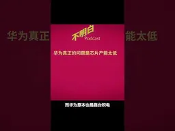 许成钢：华为真正的问题是芯片产能太低 #许成钢   #华为 #AI  #芯片 #中芯国际   #不明白播客 #shorts