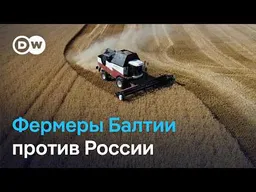 Российское зерно в Балтии: почему фермеры требуют остановить транзит