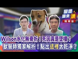 Wilson水化無骨折！死因真是墜樓？獸醫師獨家解析！點出「這裡」太乾淨？｜王富民｜【#攏總鏡來講】20260819