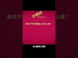 路见不平的美国人会怎么做？  #中国人眼里的美国  #美国安全  #纽约地铁   # #斩杀线 不明白播客  #shorts