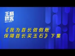 《我为首长做假账，保障首长买玉石》下集｜王局播客20260418
