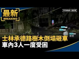 士林承德路樹木倒塌砸車　車內3人一度受困｜#鏡新聞