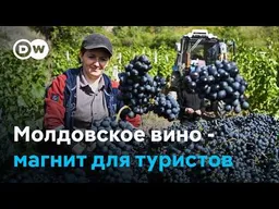 От эмбарго РФ к винному туризму: как Молдова спасла свою винодельческую отрасль