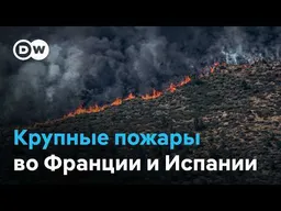 Люди и животные бегут от огня: во Франции и Испании из-за пожаров эвакуированы более 200 000 человек