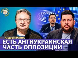 Год в ПАСЕ, поддержка Украины и разлом в оппозиции | Андрей Волна на Breakfast Show