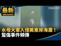 水母大軍入侵美東岸海灘！　蜇傷事件頻傳｜#鏡新聞
