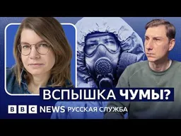 Возможна ли в России вспышка чумы? | Видеоподкаст «Что это было?»