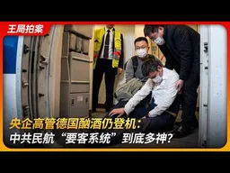 央企高管德国酗酒登机： 中共民航“要客系统”有多神？｜民航特供｜VVIP｜中国航材｜任宇｜赵保辉｜王局拍案 20260423