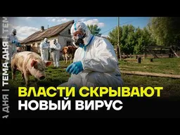 Власти скрывают вирус! Массовый забой свиней в Тюмени
