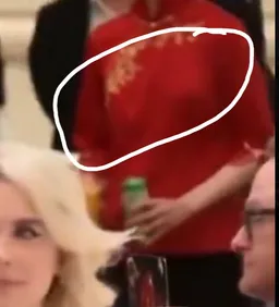 越看越不对劲！川习 #国宴 画面遭网友逐帧拆解，隐藏细节曝光