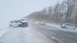 В нескольких регионах России из-за сильных снегопада и метелей введены ограничения движения на федеральных и региональных трассах