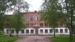 В Александровске после нападения приостановили все школьные занятия