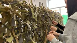 Из общественной молодежной палаты при Тюменской облдуме исключают тех, кто не приходит плести маскировочные сети