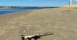 В Анапе уже 72 пляжа получили разрешение открыться