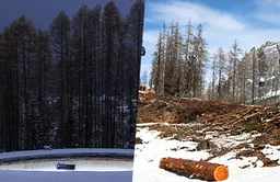 Впервые в истории Олимпиады церемония открытия Игр проходила в четырех местах