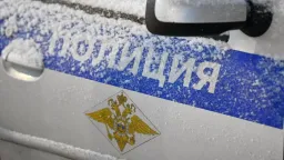 Москвичка подожгла упаковку петард под автомобилем по указанию мошенников