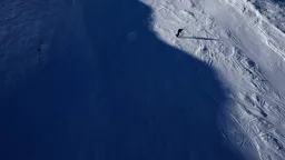 Восемь человек погибли при сходе лавин в австрийских Альпах