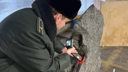 Таможня не дала вывезти из РФ осколок крупнейшего метеорита весом более 2,5 т