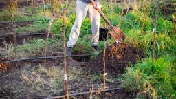 Депутат Госдумы предрек «страшное падение производства» в 2026 году