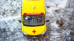 В Ленобласти женщина выбросила двоих малолетних детей с балкона на 16 этаже и покончила с собой