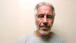 В файлах Эпштейна нашли упоминание российского миллиардера Лисина