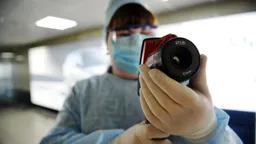 Завозных случаев вируса Нипах в РФ не зарегистрировано