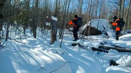 «Сложная история»: чем завершились новые поиски семьи Усольцевых