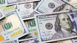 В Москве 7-летняя девочка после ссоры с мамой выбросила в окно сумку с деньгами, в которой было порядка 7 млн рублей в валюте