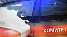 Трое подростков арестованы в Челябинске по делу об избиении мужчины до смерти