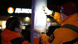 Спасатели рассказали о поисках пропавших в Звенигороде троих детей