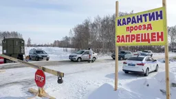 Ситуация с заболеванием домашних животных в Новосибирской обл контролируемая -- Россельхознадзор