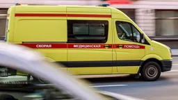 Внучка Литвинова найдена мёртвой в Москве 12 мая
