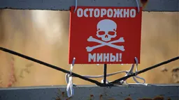 Финляндия вышла из конвенции о запрете противопехотных мин