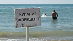 Пятно нефти в Черном море возле Анапы связали с атакованным дроном «теневым» танкером