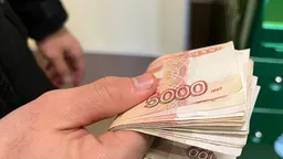 В России за пять лет вдвое выросло число взыскателей долгов