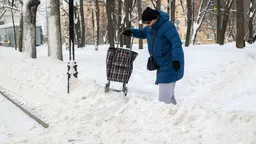 Жителям Подмосковья посоветовали жаловаться на плохую уборку снега «Господу Богу»