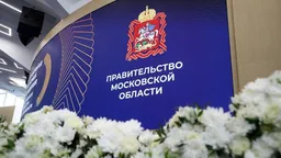 В Московской области в 2025 году сократили 15% госслужащих