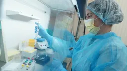 Губернатор МО Воробьев ввел карантин по бешенству в Реутове