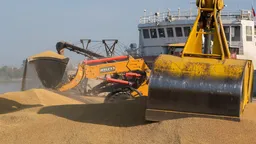 Украина обвинила Израиль в торговле краденным зерном с Россией