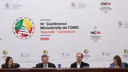 雅温得世贸组织部长会议以失败告终 巴西印度跟美国谈不拢