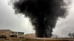 欧盟：伊朗战争促使欧洲加倍努力减少对化石燃料的依赖