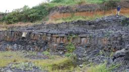 中国湖南 一拥有5.12亿年历史的庞大海洋生态系统重现世人眼前