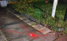 В Швеции в очередной раз сбросили краску на здание, занятое российскими дипломатами