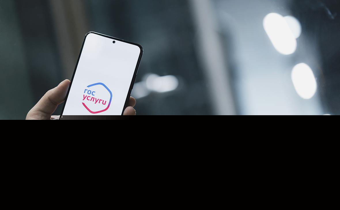 Покупатели Ozon и Wildberries смогут жаловаться на маркетплейсы через «Госуслуги»