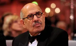 Экс-глава МАГАТЭ призвал страны Персидского залива остановить Трампа